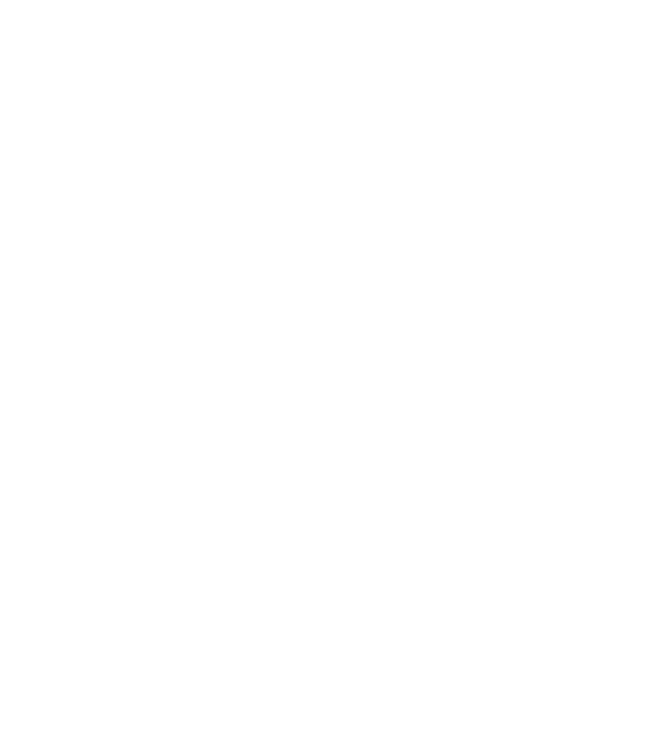Logo bdb white